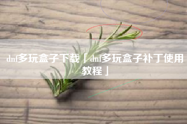 dnf多玩盒子下载「dnf多玩盒子补丁使用教程」