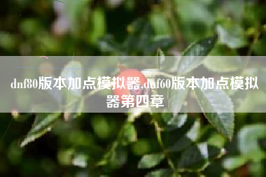 dnf80版本加点模拟器,dnf60版本加点模拟器第四章