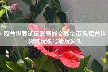 魔兽世界试玩账号能交易金币吗,魔兽世界试玩账号能玩多久