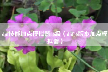 dnf技能加点模拟器86级（dnf86版本加点模拟器）