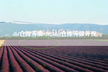 dbf仓库等级-2023dnf仓库等级外观