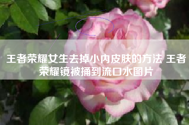 王者荣耀女生去掉小内皮肤的方法 王者荣耀镜被捅到流口水图片
