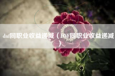 dnf同职业收益递减（DNF同职业收益递减）
