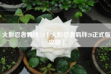 火影忍者羁绊2.4「火影忍者羁绊20正式版攻略」