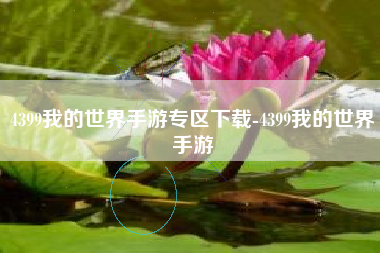 4399我的世界手游专区下载-4399我的世界手游
