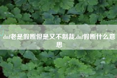 dnf老是假断但是又不制裁,dnf假断什么意思