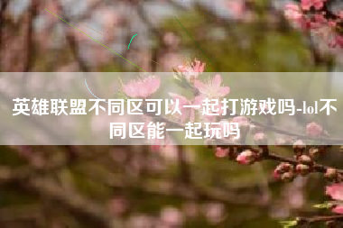 英雄联盟不同区可以一起打游戏吗-lol不同区能一起玩吗