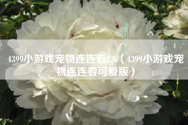 4399小游戏宠物连连看2.5（4399小游戏宠物连连看可爱版）