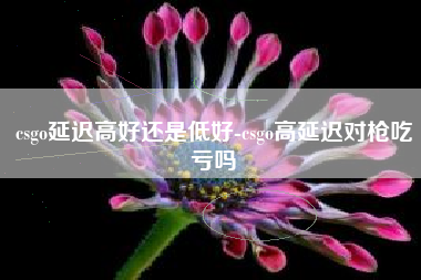 csgo延迟高好还是低好-csgo高延迟对枪吃亏吗