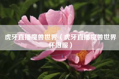 虎牙直播魔兽世界（虎牙直播魔兽世界怀旧服）