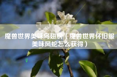 魔兽世界美味鸟翅膀（魔兽世界怀旧服美味风蛇怎么获得）
