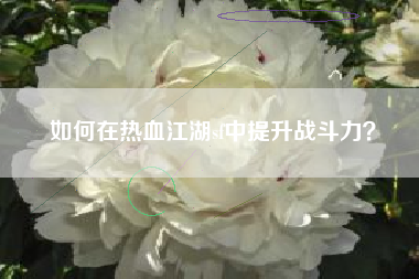 如何在热血江湖sf中提升战斗力？