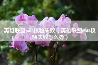 英雄联盟md5校验失败（英雄联盟md5校验失败怎么办）