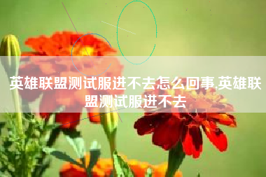 英雄联盟测试服进不去怎么回事,英雄联盟测试服进不去