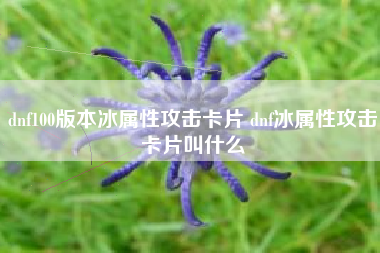 dnf100版本冰属性攻击卡片 dnf冰属性攻击卡片叫什么