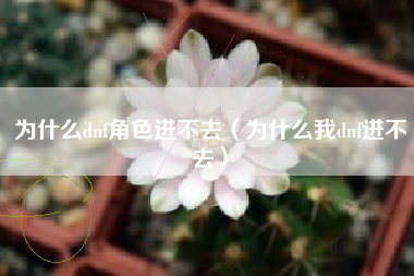 为什么dnf角色进不去（为什么我dnf进不去）