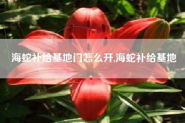 海蛇补给基地门怎么开,海蛇补给基地
