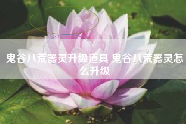 鬼谷八荒器灵升级道具 鬼谷八荒器灵怎么升级