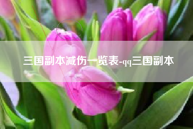 三国副本减伤一览表-qq三国副本