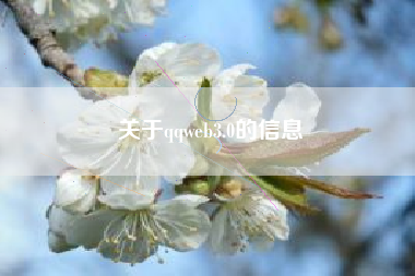 关于qqweb3.0的信息
