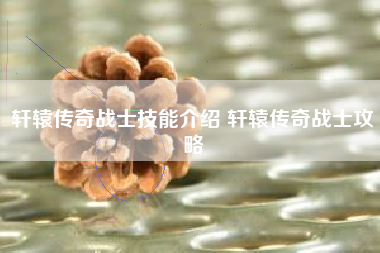 轩辕传奇战士技能介绍 轩辕传奇战士攻略