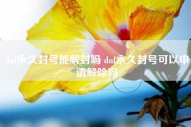 dnf永久封号能解封吗 dnf永久封号可以申请解除吗