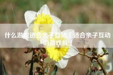 什么游戏适合亲子互动「适合亲子互动的游戏机」