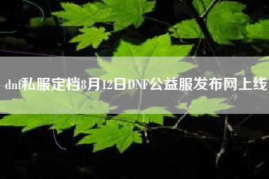 dnf私服定档8月12日DNF公益服发布网上线