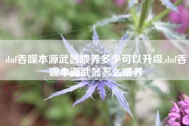 dnf吞噬本源武器喂养多少可以升级,dnf吞噬本源武器怎么喂养