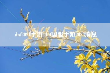 dnf2021手游 dnf国服手游2023消息
