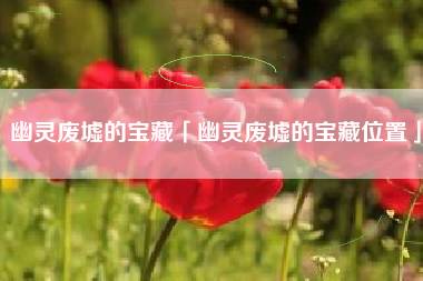 幽灵废墟的宝藏「幽灵废墟的宝藏位置」