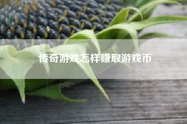 传奇游戏怎样赚取游戏币
