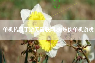 单机传奇手游无需联网-蜘蛛侠单机游戏