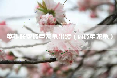英雄联盟披甲龙龟出装（lol披甲龙龟）