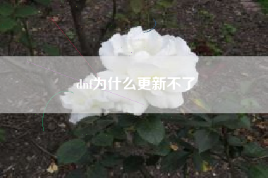 dnf为什么更新不了