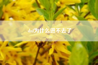 dnf为什么进不去了