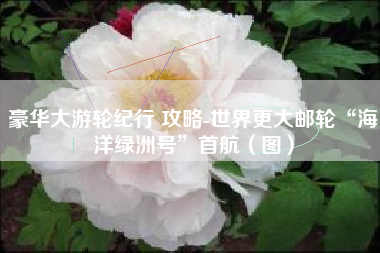 豪华大游轮纪行 攻略-世界更大邮轮“海洋绿洲号”首航（图）