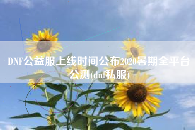DNF公益服上线时间公布2020暑期全平台公测(dnf私服)