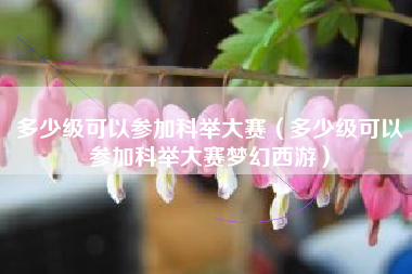 多少级可以参加科举大赛（多少级可以参加科举大赛梦幻西游）