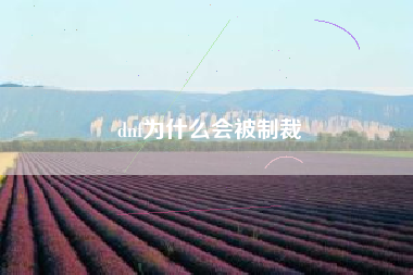 dnf为什么会被制裁