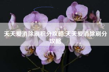 天天爱消除刷积分攻略,天天爱消除刷分攻略