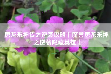 唐龙东神传之逆袭攻略「魔兽唐龙东神之逆袭隐藏英雄」