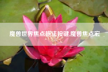 魔兽世界焦点施法按键,魔兽焦点宏