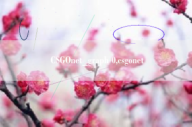 CSGOnet_graph 0,csgonet