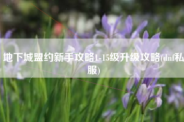 地下城盟约新手攻略1-15级升级攻略(dnf私服)