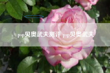 psp贝奥武夫测评 psp贝奥武夫