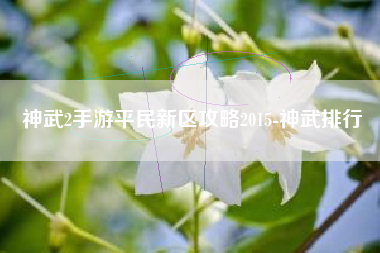 神武2手游平民新区攻略2015-神武排行