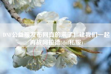 DNF公益服发布网真的来了！让我们一起再战阿拉德(dnf私服)