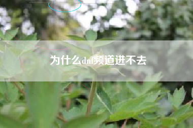 为什么dnf频道进不去