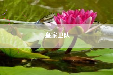 皇家卫队